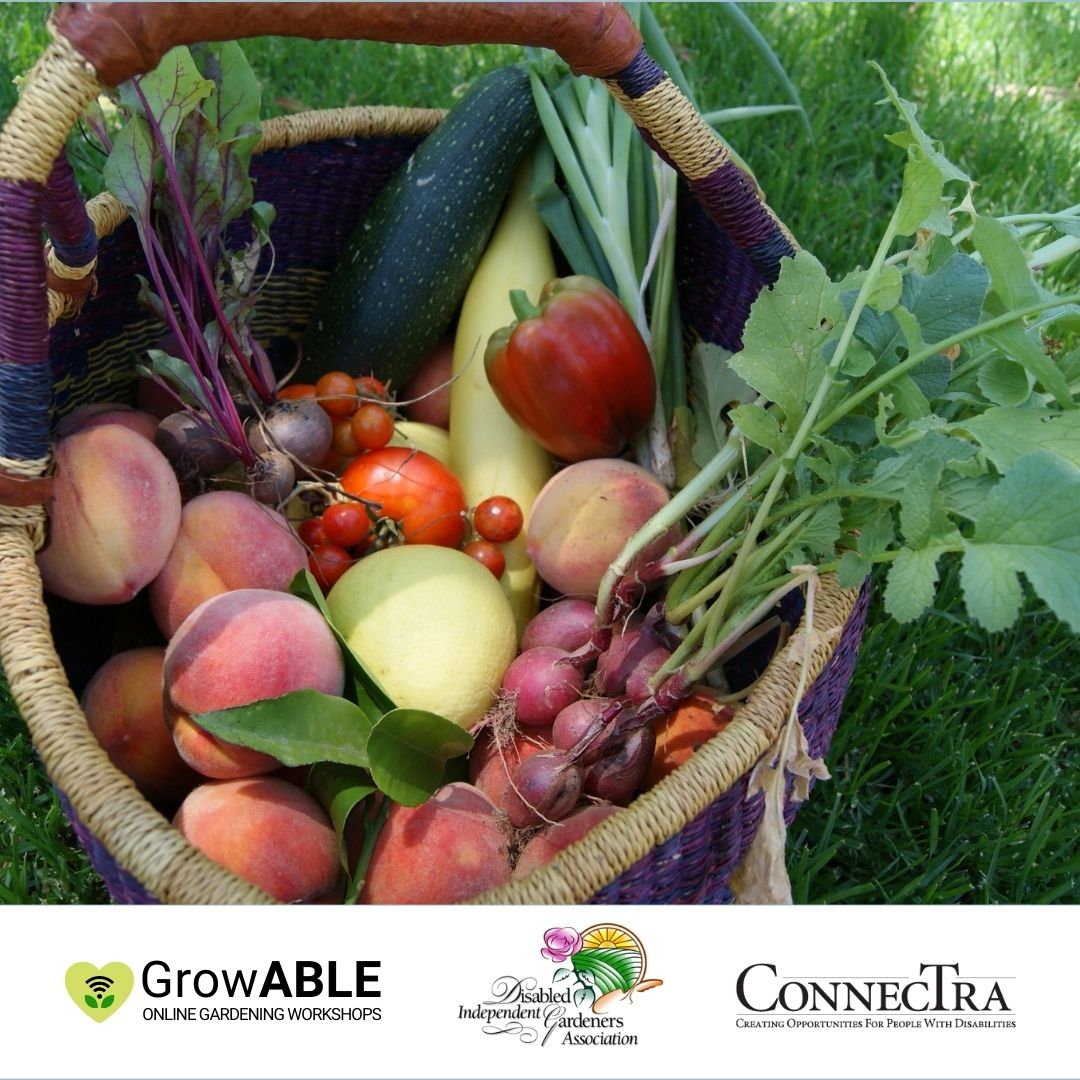Growable Logo, DIGA Logo, ConnecTra Logo, Basket of Produce